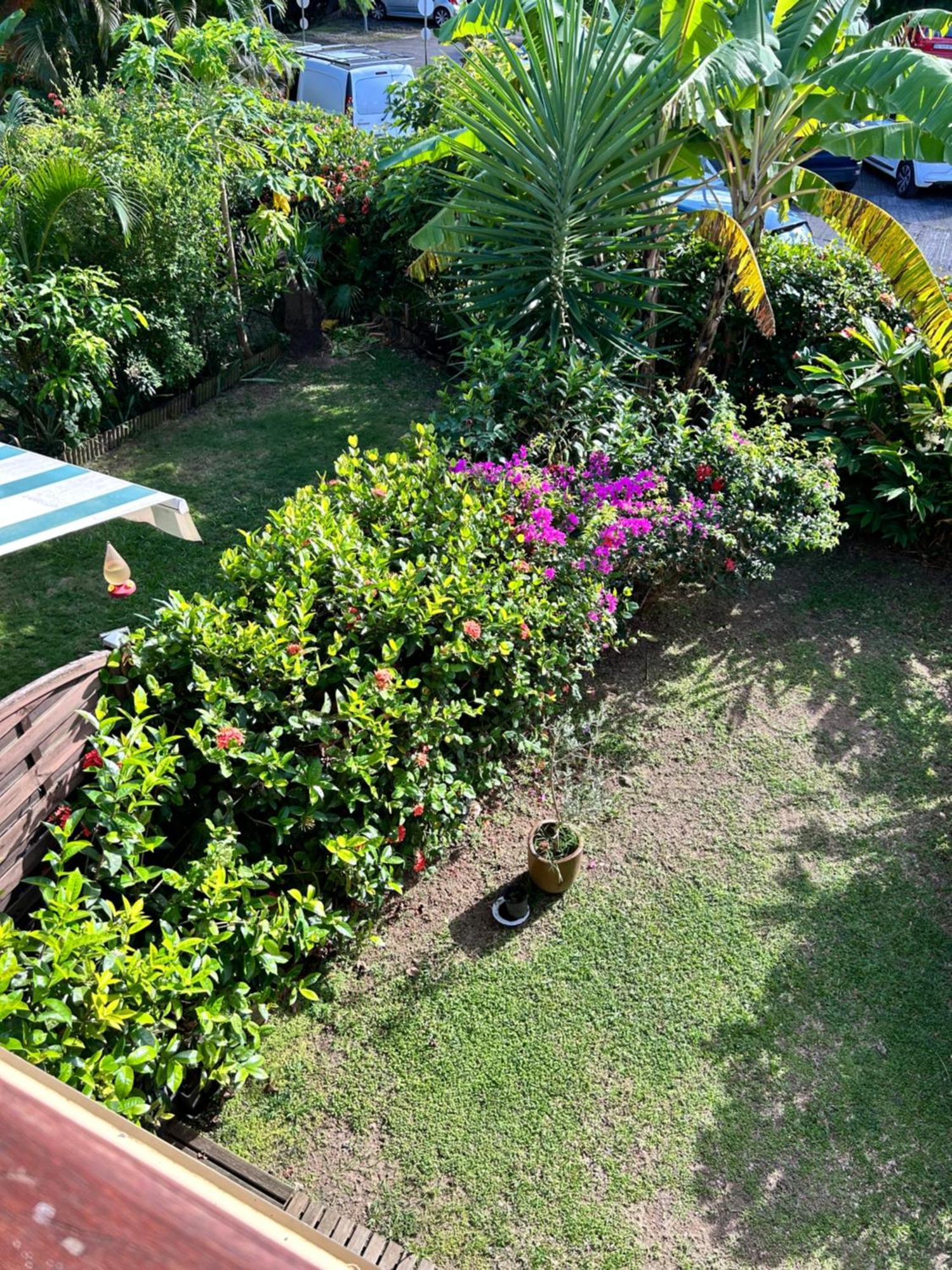 Calypso Diamant 972 Apartment Le Diamant Exterior photo